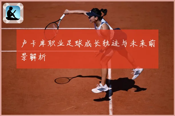卢卡库职业足球成长轨迹与未来前景解析
