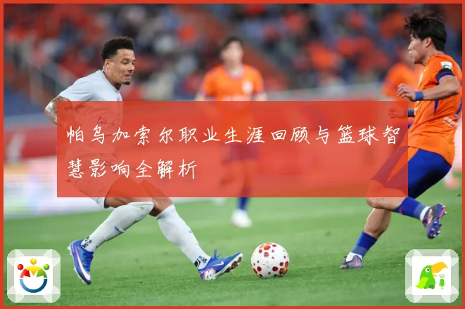 帕乌加索尔职业生涯回顾与篮球智慧影响全解析